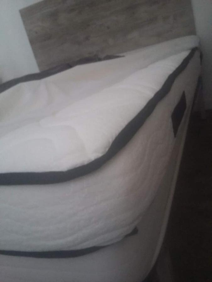 Studio Cosy Proche Centre Mpl/ Pk Gratuit 蒙彼利埃 外观 照片