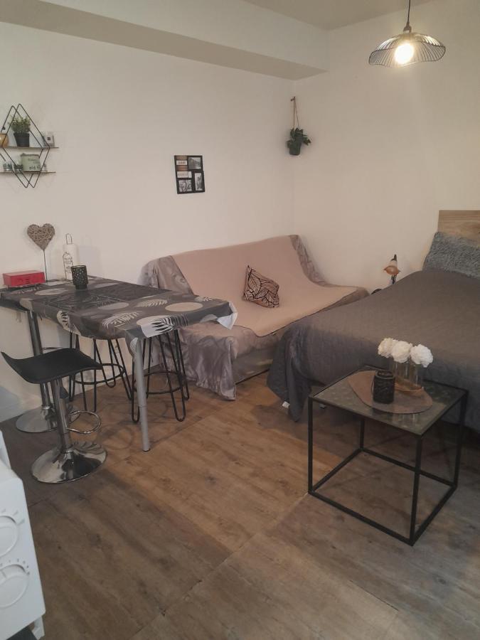 Studio Cosy Proche Centre Mpl/ Pk Gratuit 蒙彼利埃 外观 照片