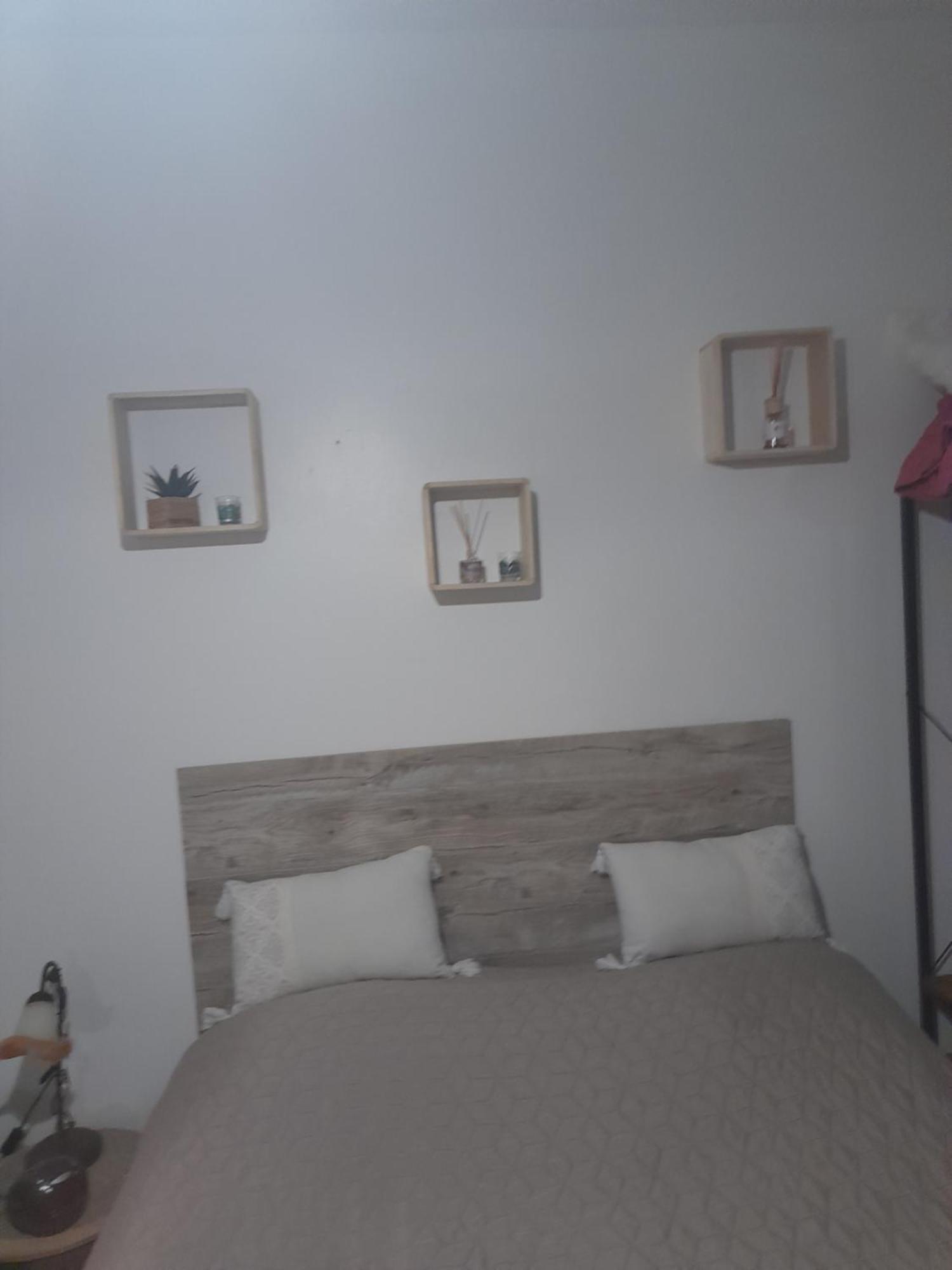 Studio Cosy Proche Centre Mpl/ Pk Gratuit 蒙彼利埃 外观 照片