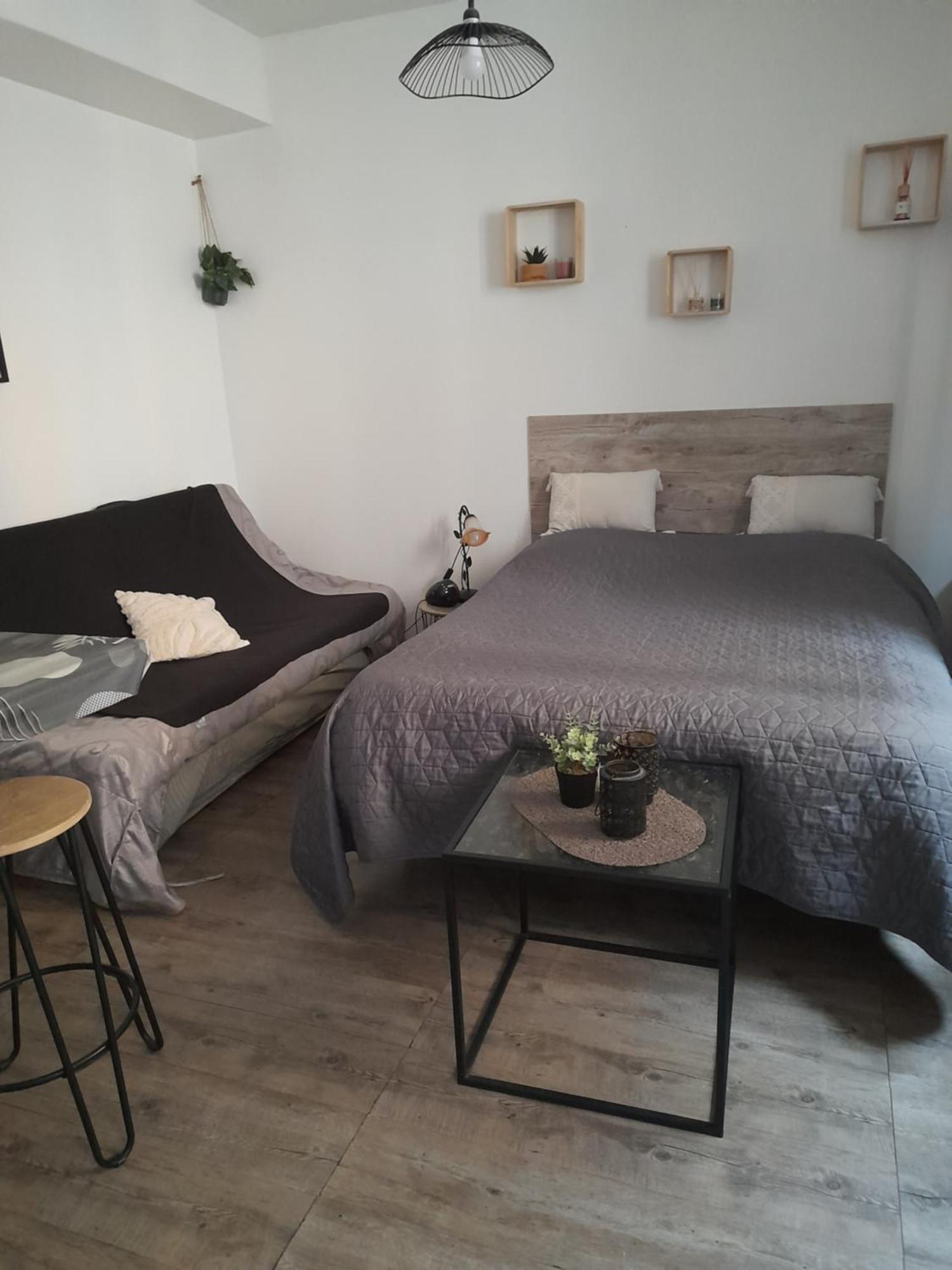 Studio Cosy Proche Centre Mpl/ Pk Gratuit 蒙彼利埃 外观 照片